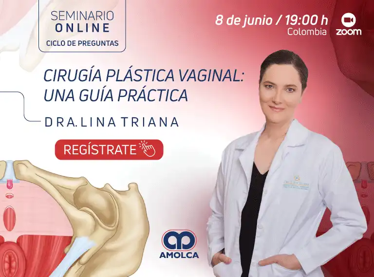 Seminario Online Cirugía plástica Vaginal: una guía práctica