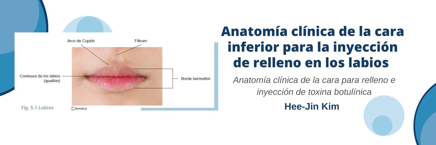 filtrum del labio