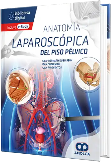 Anatomía laparoscópica del piso pélvico