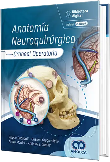 Anatomía neuroquirúrgica craneal operatoria